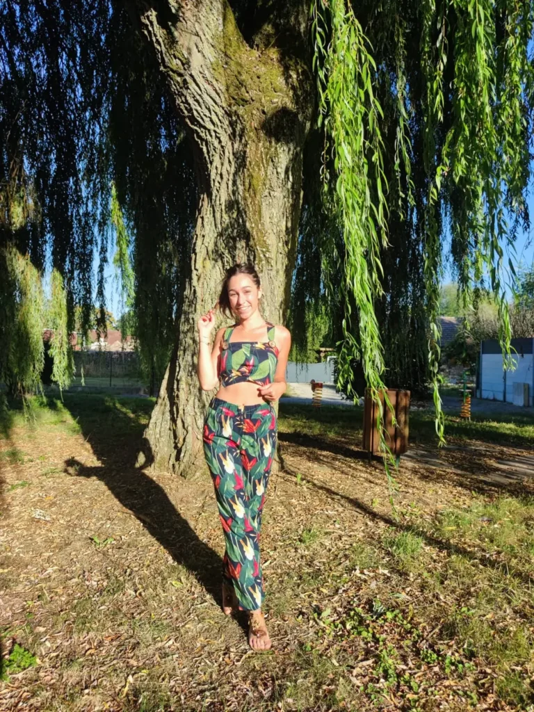 Ensemble tropical